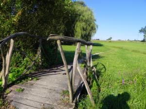 Zdravilni park Sveta Trojica 3